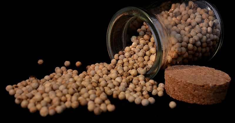 Na obrázku je biele korenie, ako jedna zo surovín, ktorá nám odpovedá na otázku čo vlastne jeme