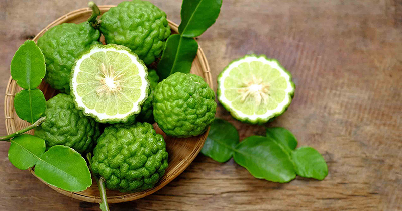 Na obrázku je kafírová limeta, ako jedna zo surovín, ktorá nám odpovedá na otázku čo vlastne jeme